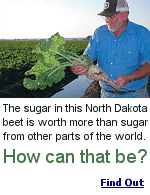 Congress has supplied a sweet deal for sugar producers since 1789 by imposing import tariffs, effectively supporting the price of sugar at several times the actual world price. 